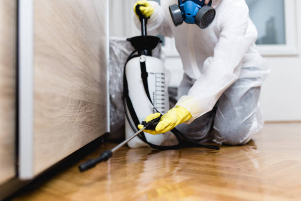 Best Pest Removal Services  in Bridgehampton, NY