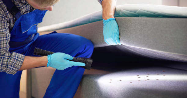Best Cockroach Control Services  in Bridgehampton, NY