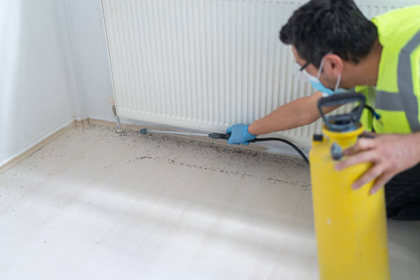 Trusted Bridgehampton, NY Pest Control Experts